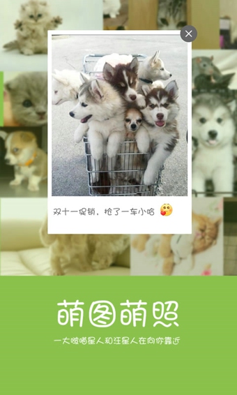 握爪,app,开发,案例,握爪,app,开发,案例,可以,