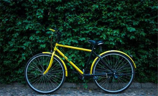 共享单车APP开发,共享经济的领跑者 共享单车APP开发,共享经济的领跑者