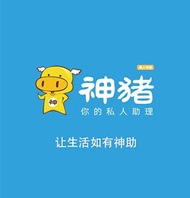 神猪app制作