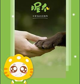 握爪app开发案例